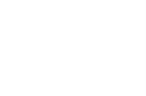 shakewell